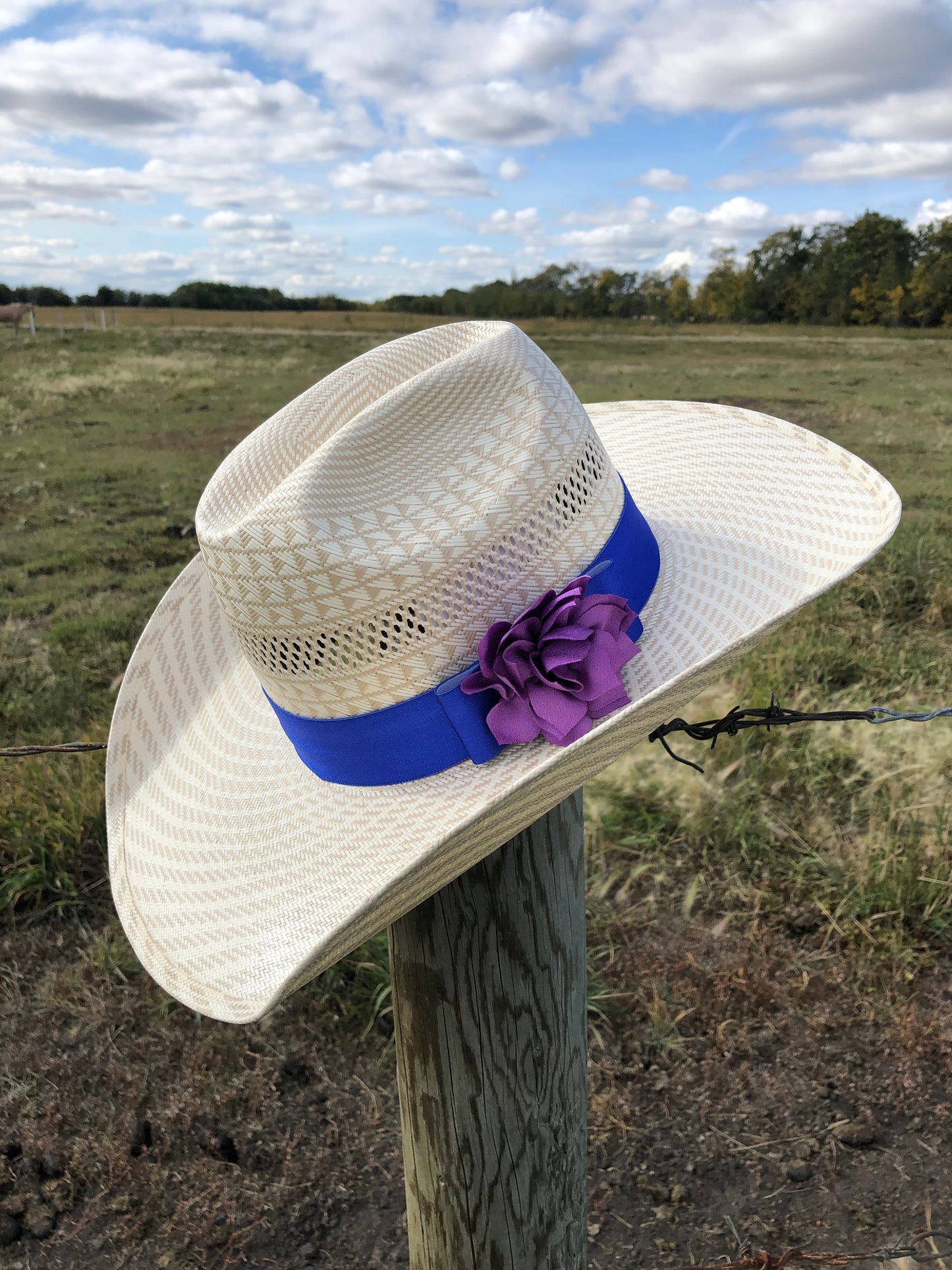 Sapphire Blue Hat band Collection