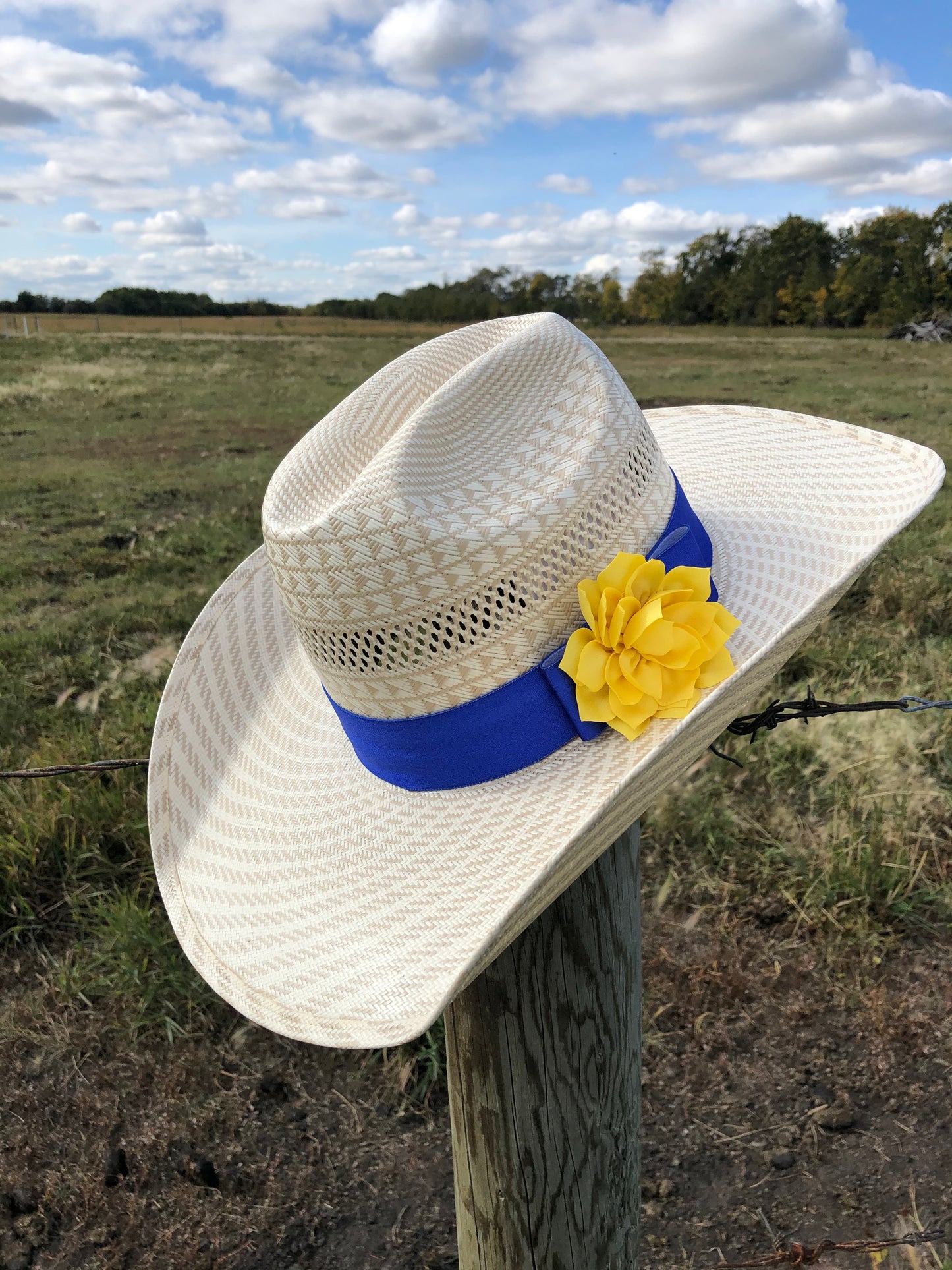 Sapphire Blue Hat band Collection