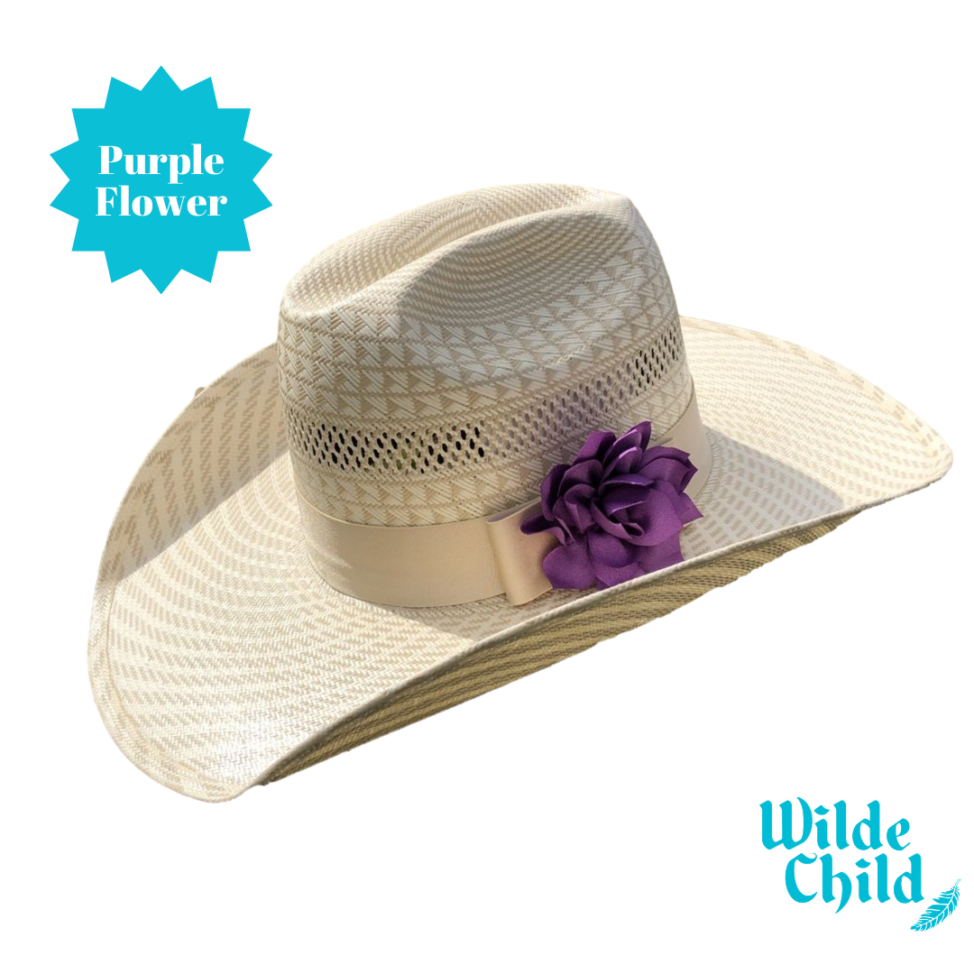 Palomino Hat band Collection