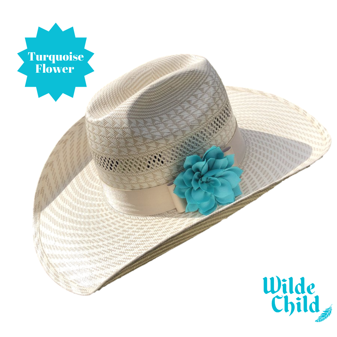 Palomino Hat band Collection