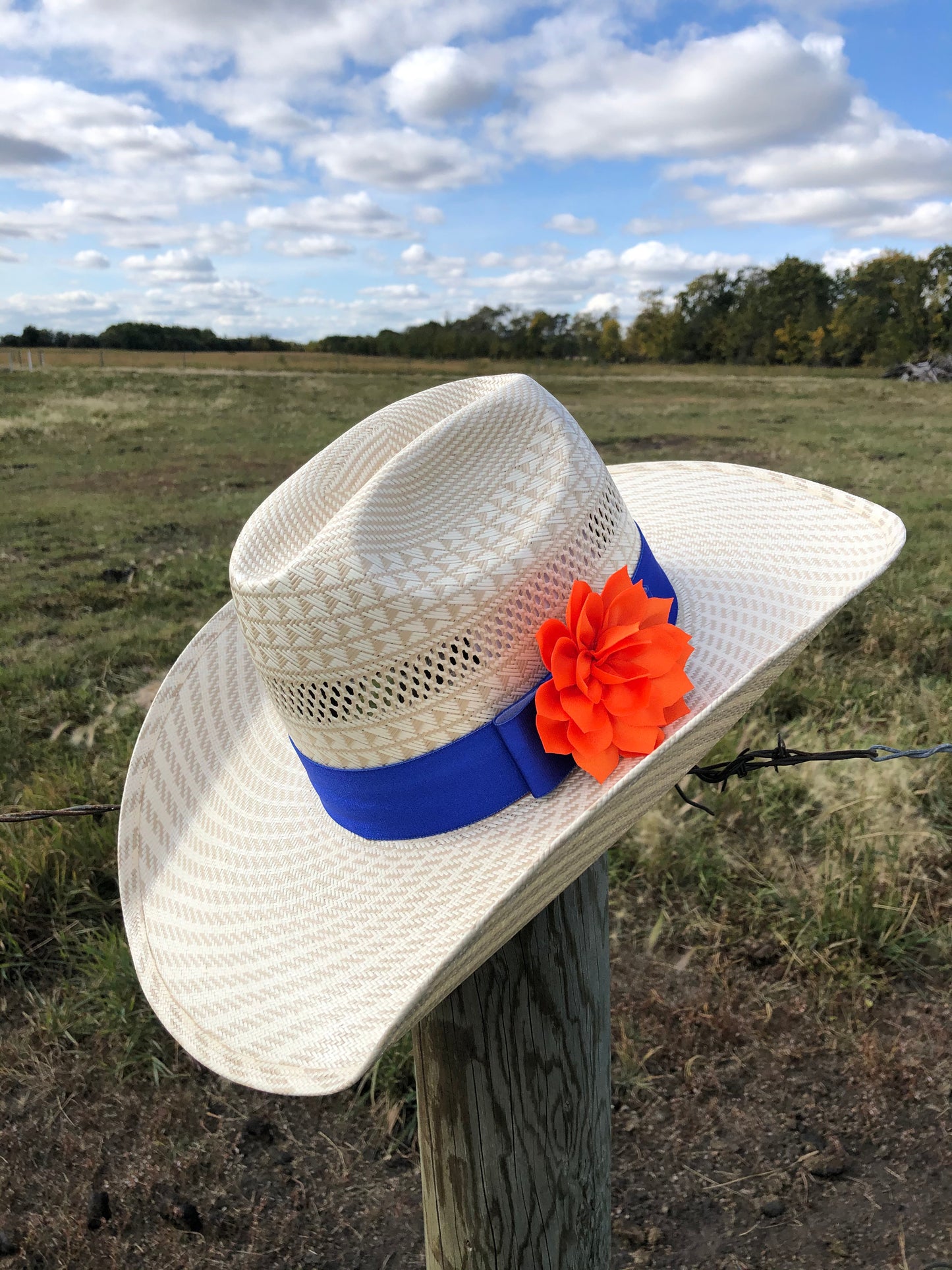 Sapphire Blue Hat band Collection