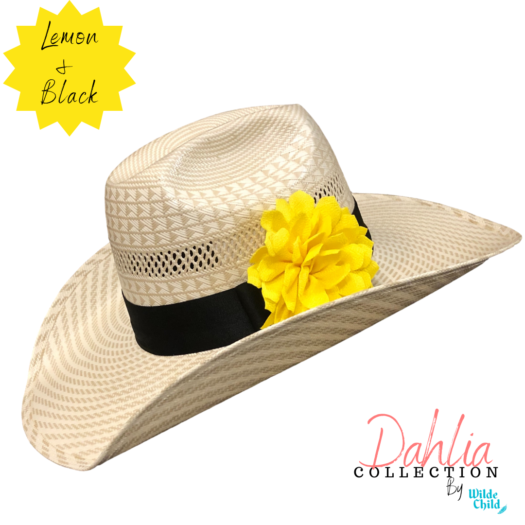 Pendleton Hat Band Collection