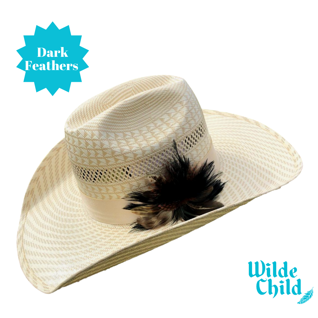 Palomino Hat band Collection