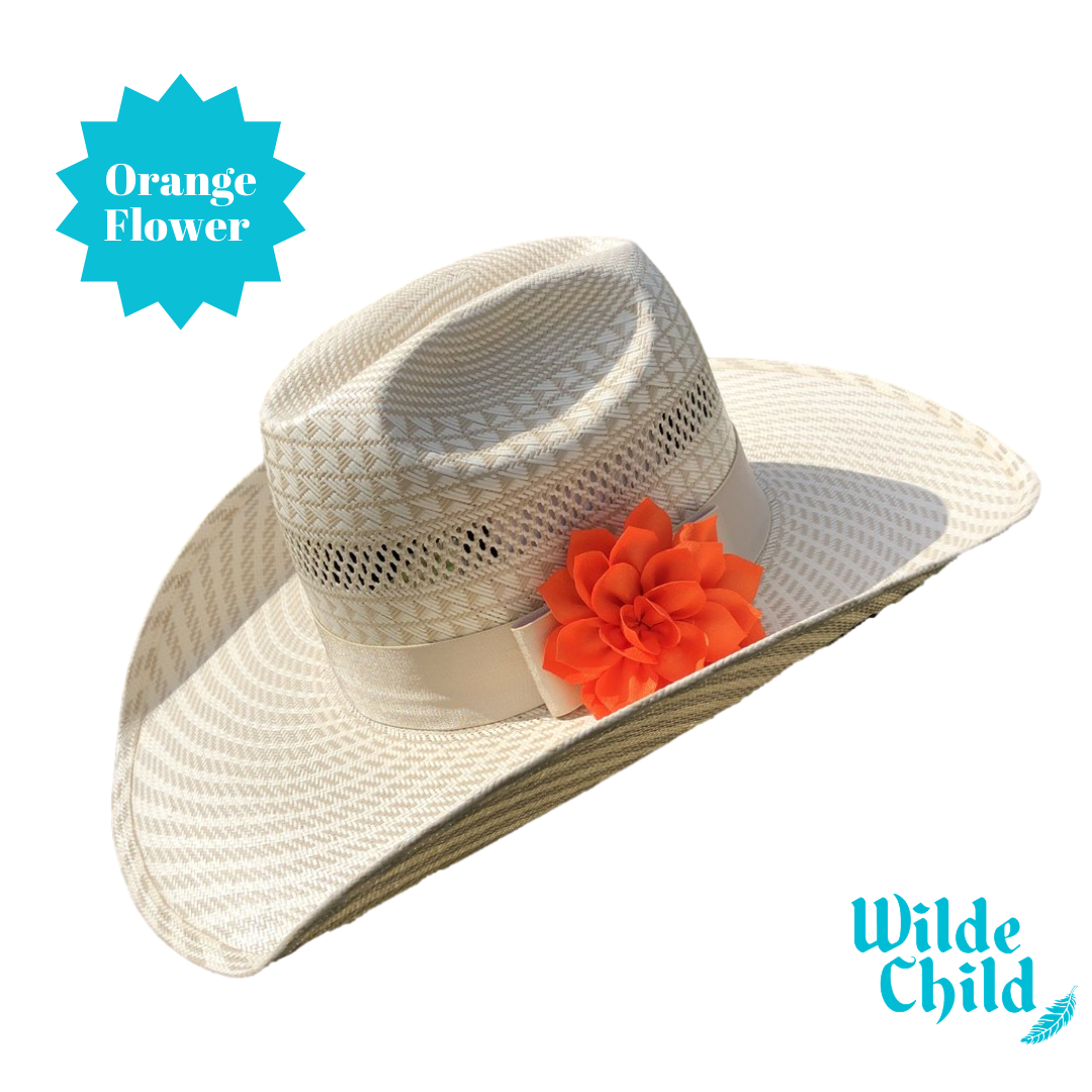 Palomino Hat band Collection