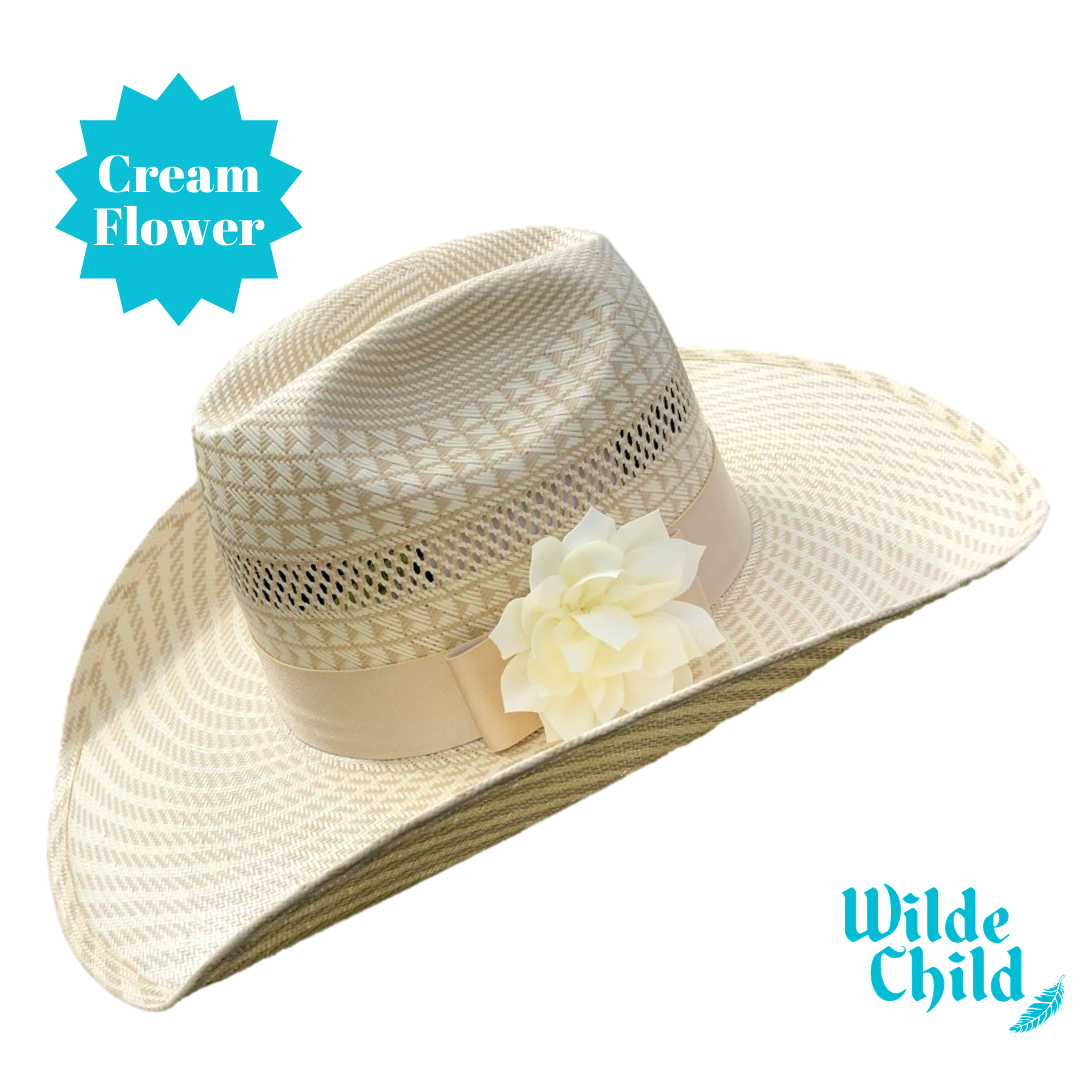 Palomino Hat band Collection