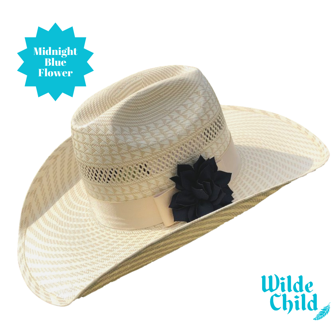 Palomino Hat band Collection