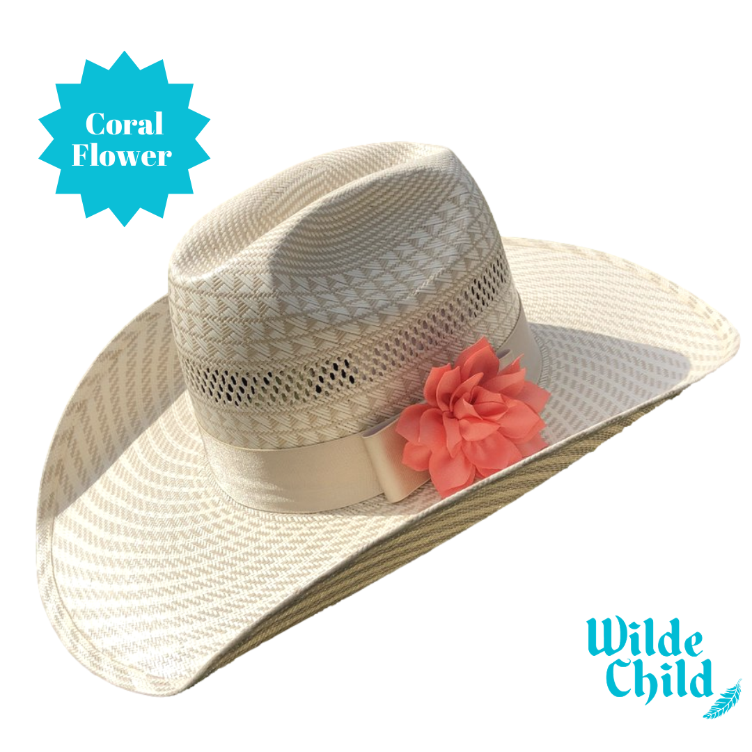 Palomino Hat band Collection