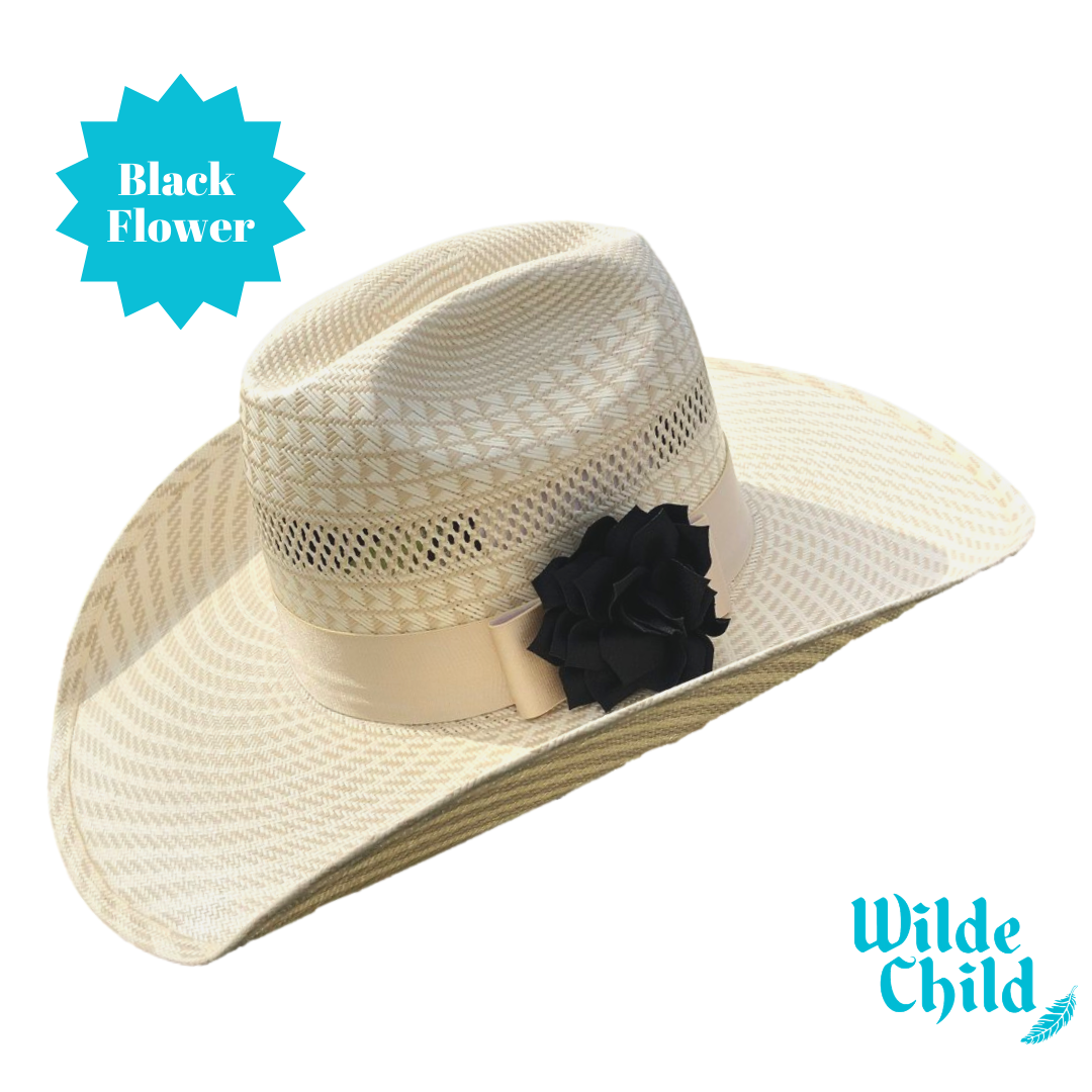 Palomino Hat band Collection
