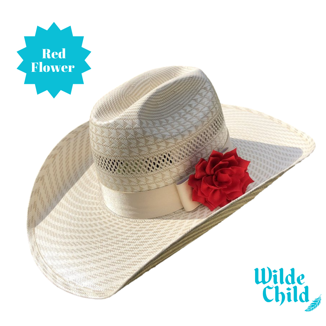 Palomino Hat band Collection