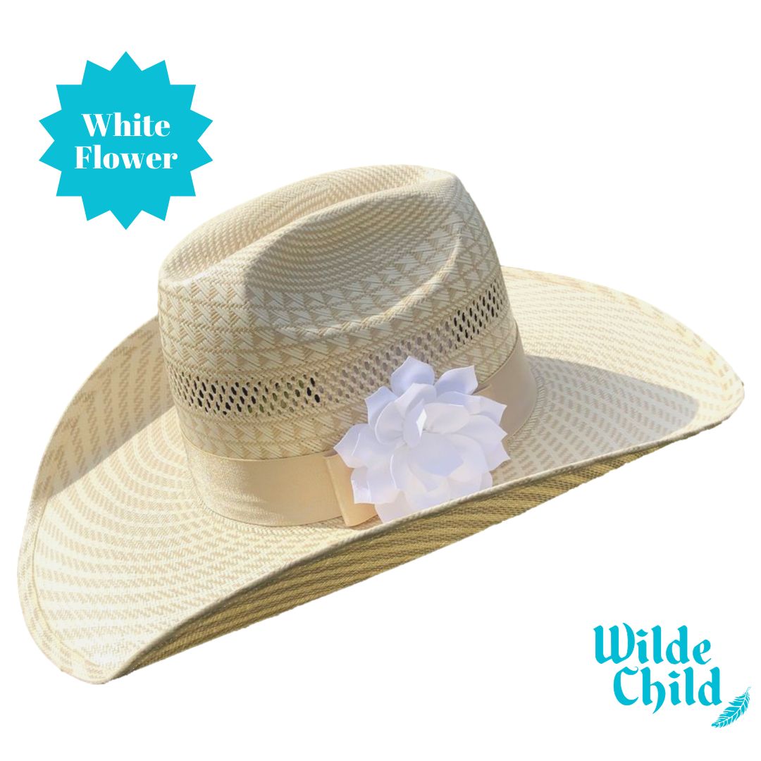 Palomino Hat band Collection