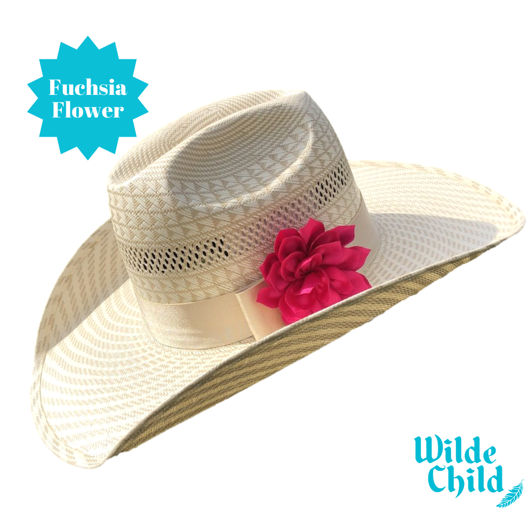 Palomino Hat band Collection
