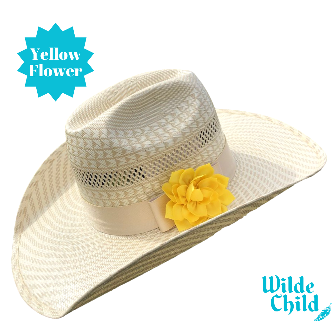 Palomino Hat band Collection